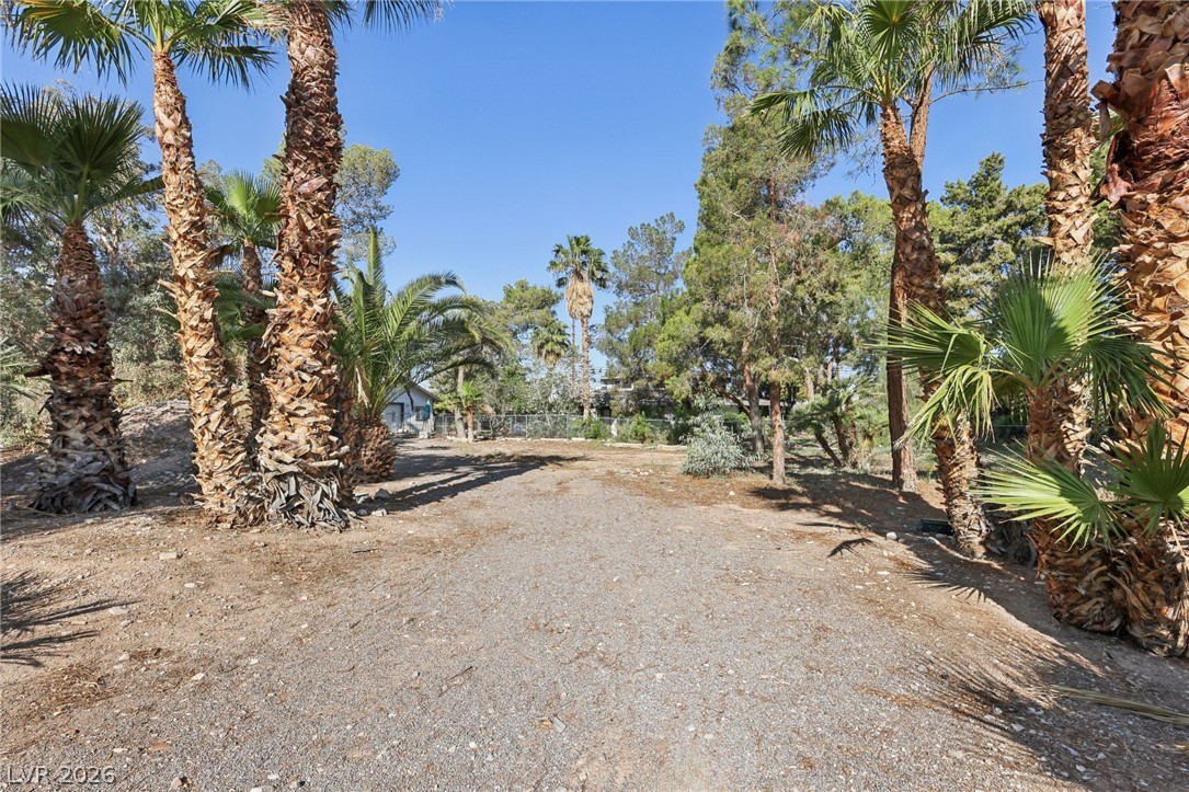55 Siddall Avenue Property Photo 62