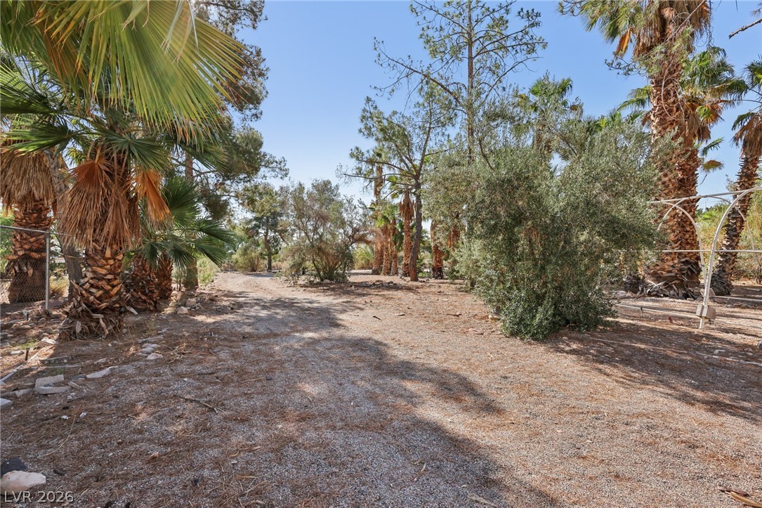 55 Siddall Avenue Property Photo 69