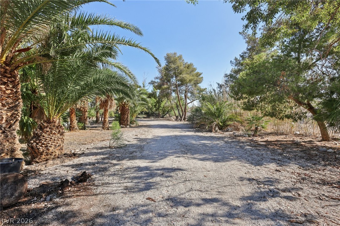 55 Siddall Avenue Property Photo 73