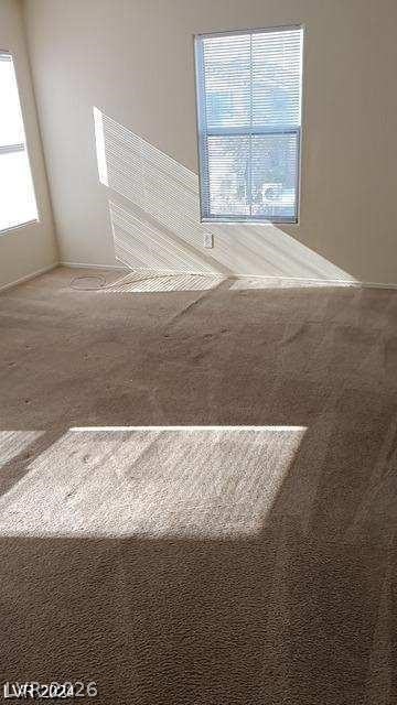 4202 Mango Tree Court Property Photo 12