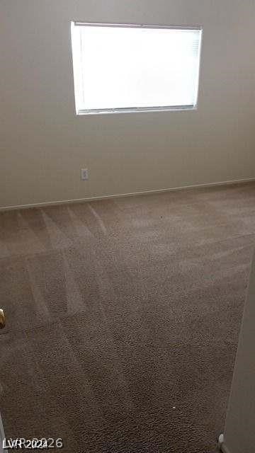 4202 Mango Tree Court Property Photo 15