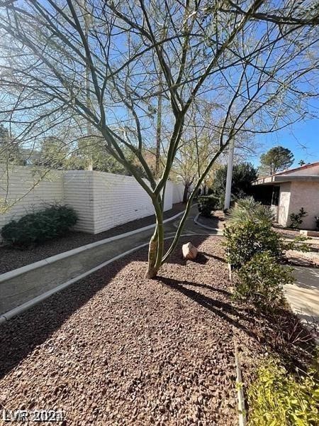 2459 Domingo Street Property Photo 66