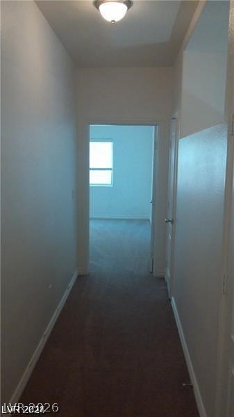 5116 Blue Rose Street Property Photo 12