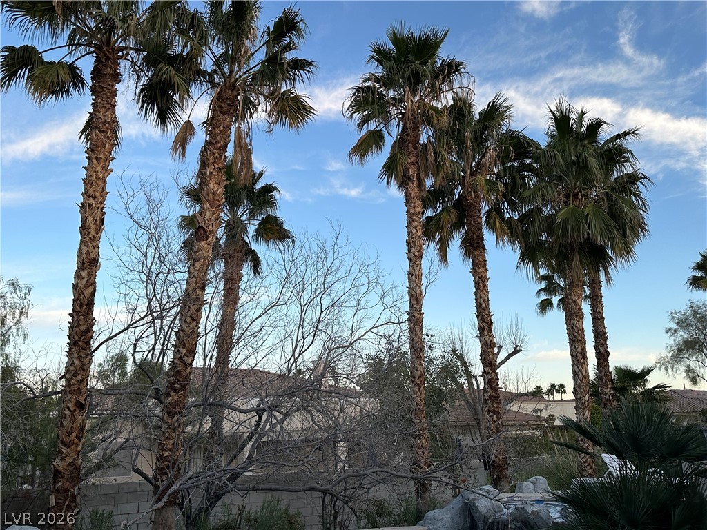 4738 Laurel Canyon Street Property Photo 7