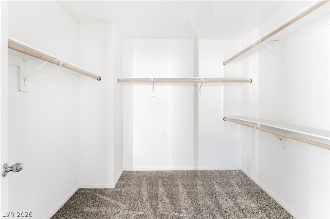 4261 Galaxy Gaze Avenue Property Photo 13