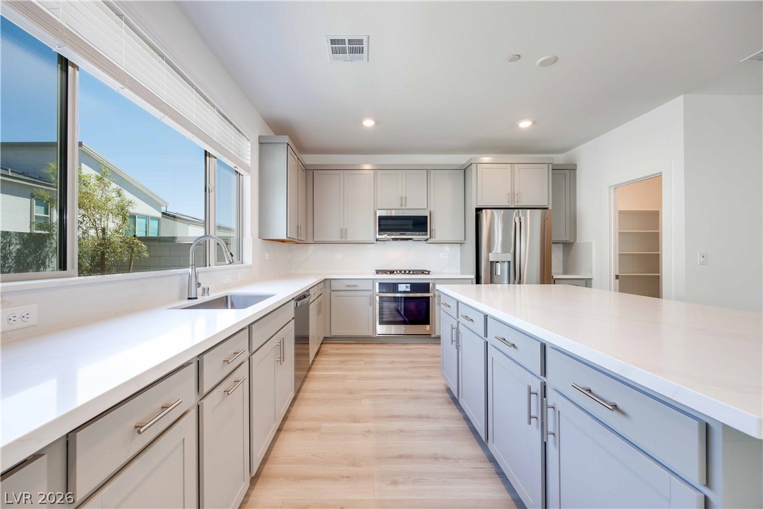 10488 Mountain Aster Avenue Property Photo 9