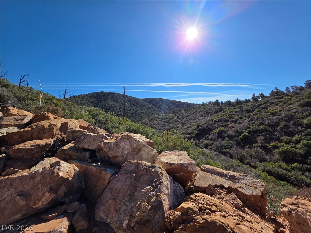 Lovell Summit-coal Springs-lot 4 Property Photo 2