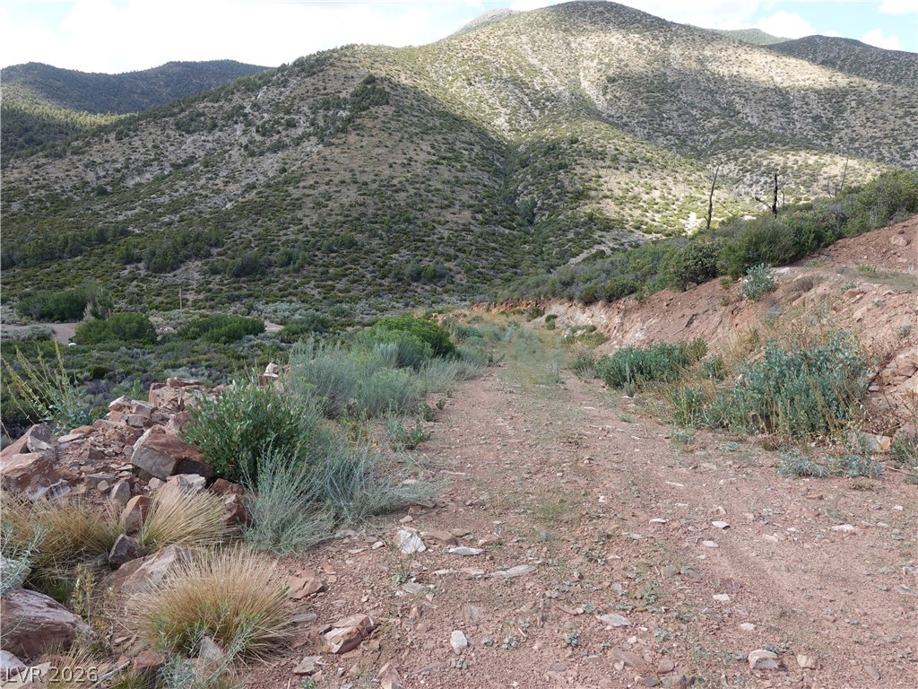 Lovell Summit-coal Springs-lot 4 Property Photo 5