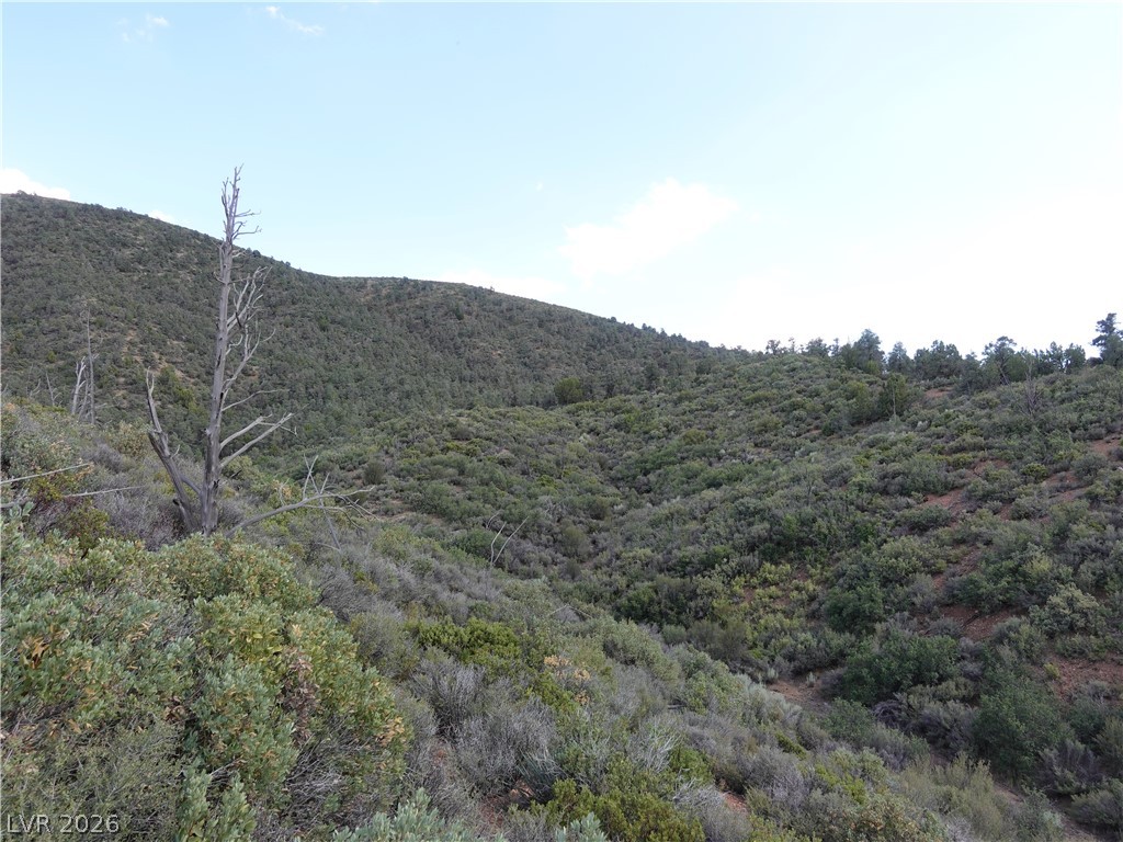 Lovell Summit-coal Springs-lot 4 Property Photo 9