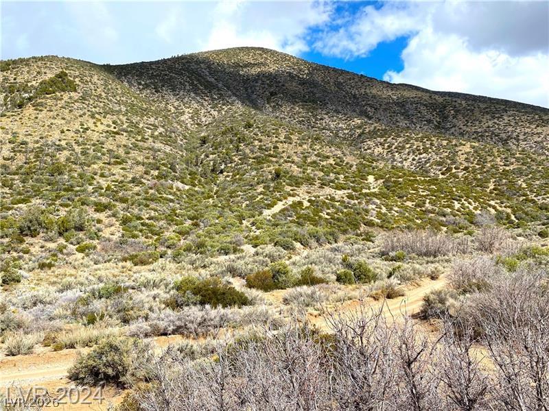 Lovell Summit-coal Springs-lot 4 Property Photo 12
