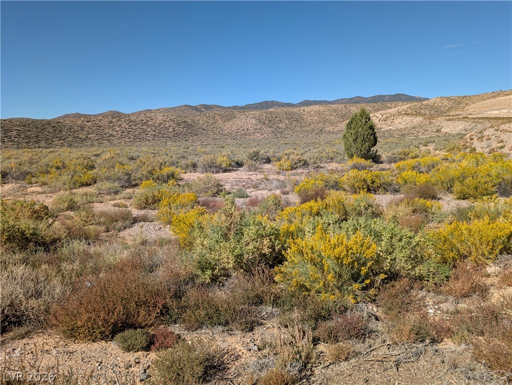 Us Hwy 93 (25 Acres) Property Photo 1