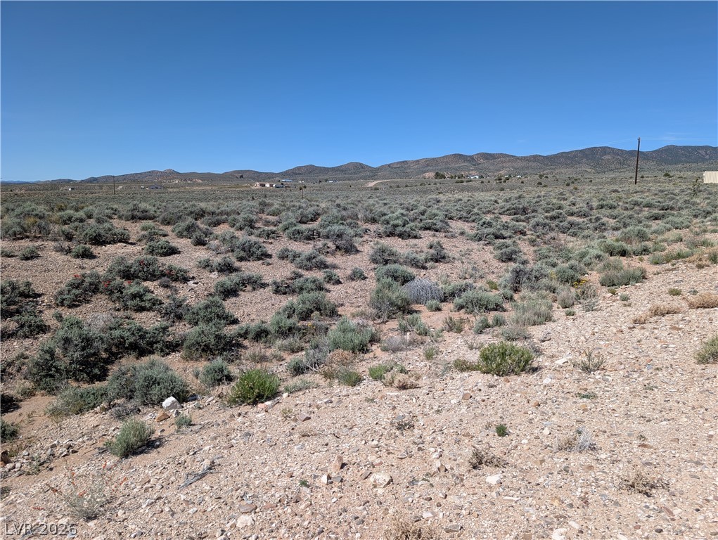 Us Hwy 93 (25 Acres) Property Photo 2