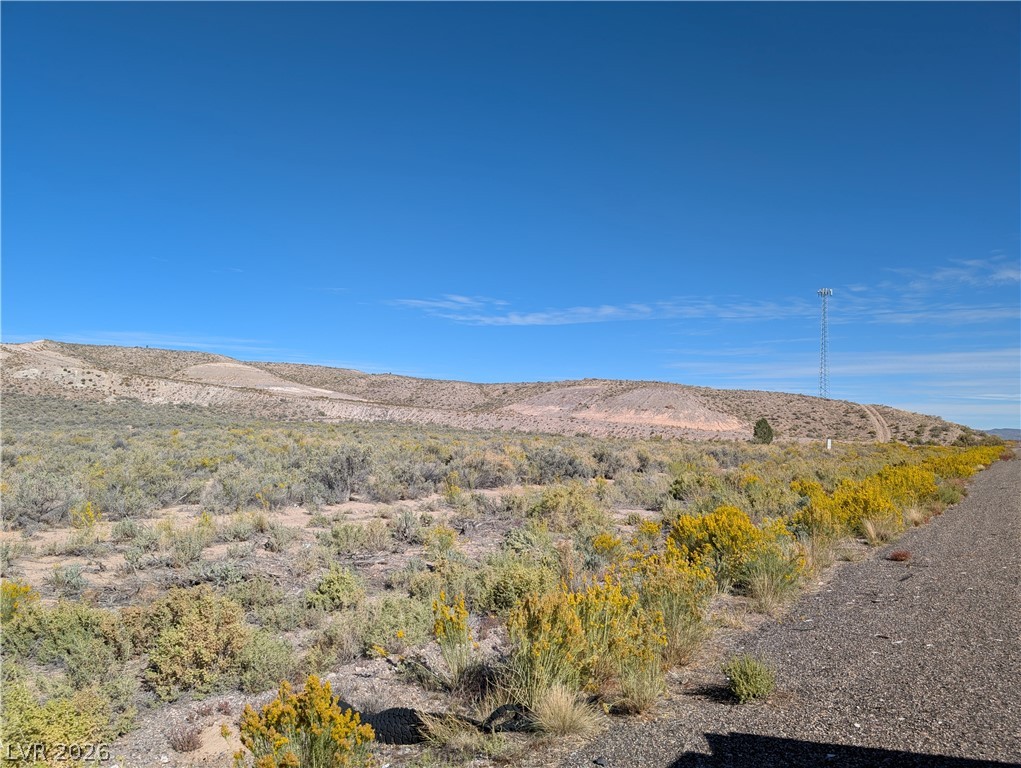 Us Hwy 93 (25 Acres) Property Photo 2