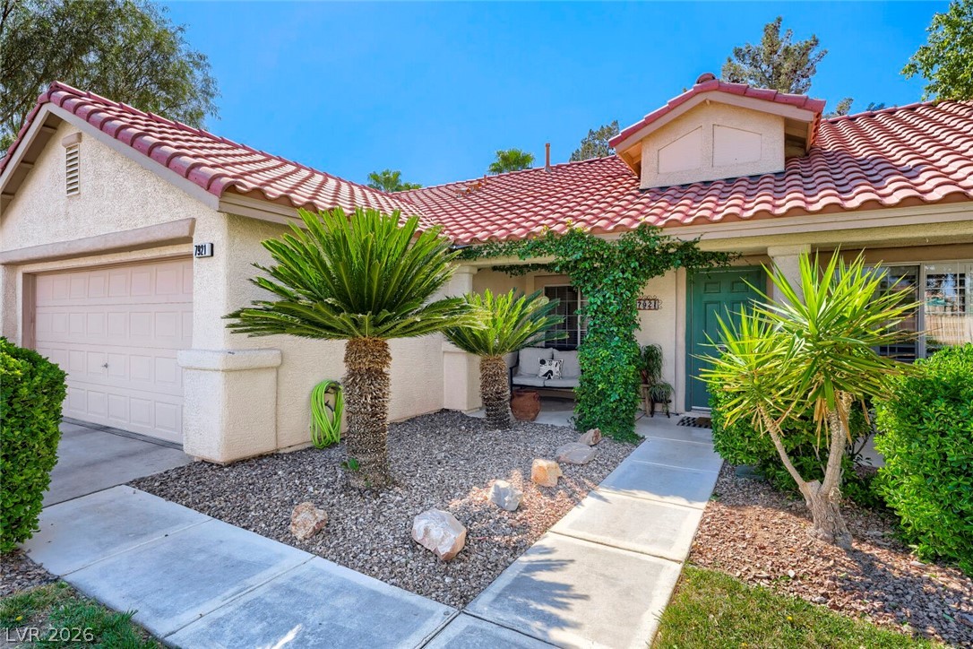 7921 Purple Mountain Avenue Property Photo 4