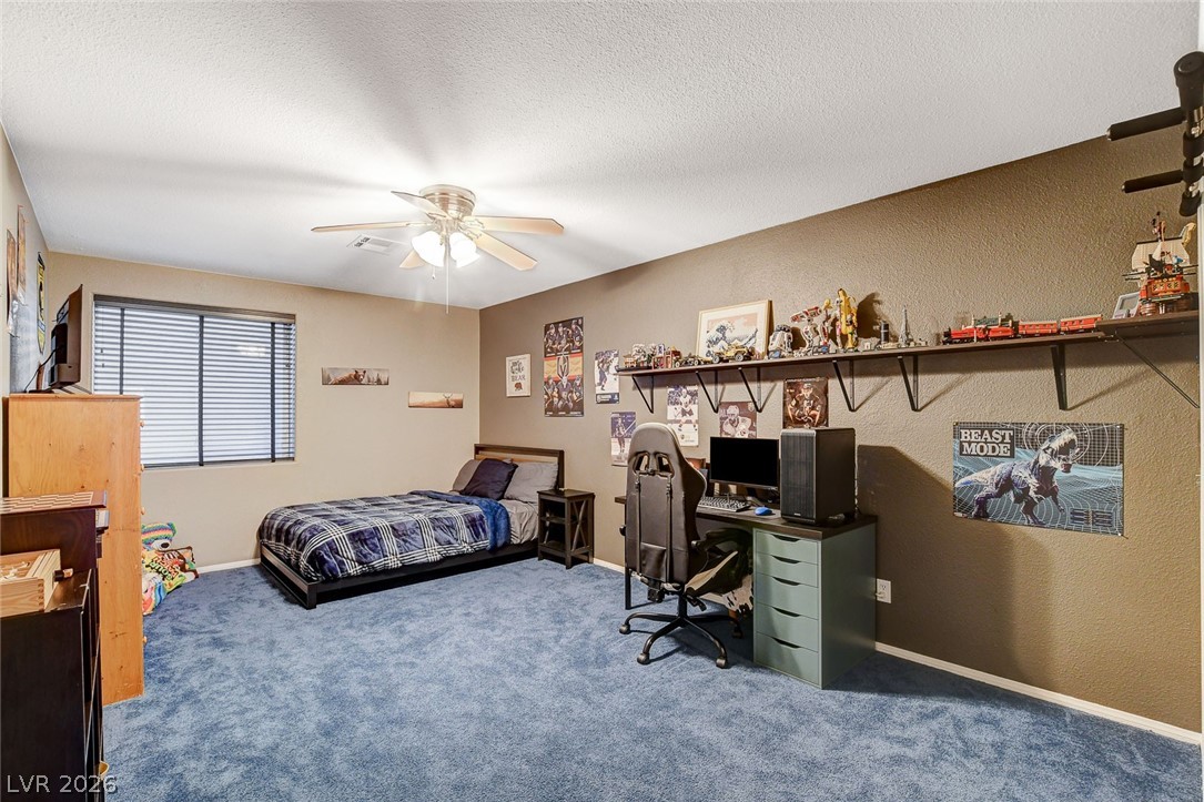 4535 Desert Bloom Court Property Photo 56