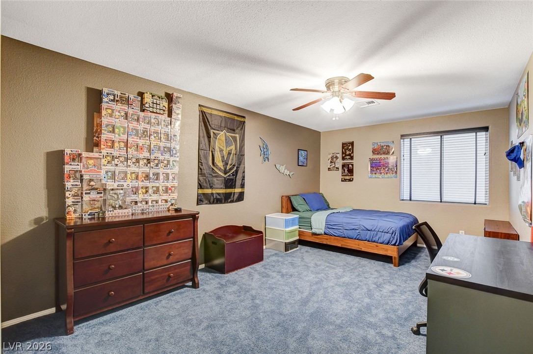 4535 Desert Bloom Court Property Photo 57