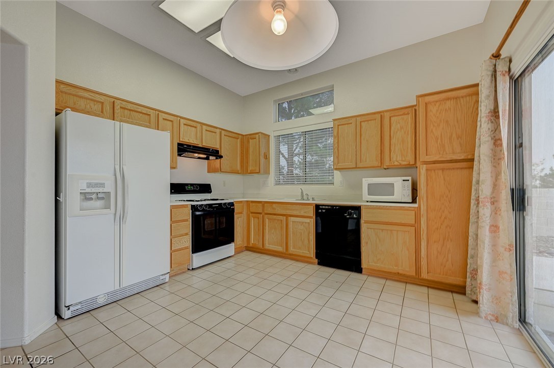 10501 City Clouds Court Property Photo 10