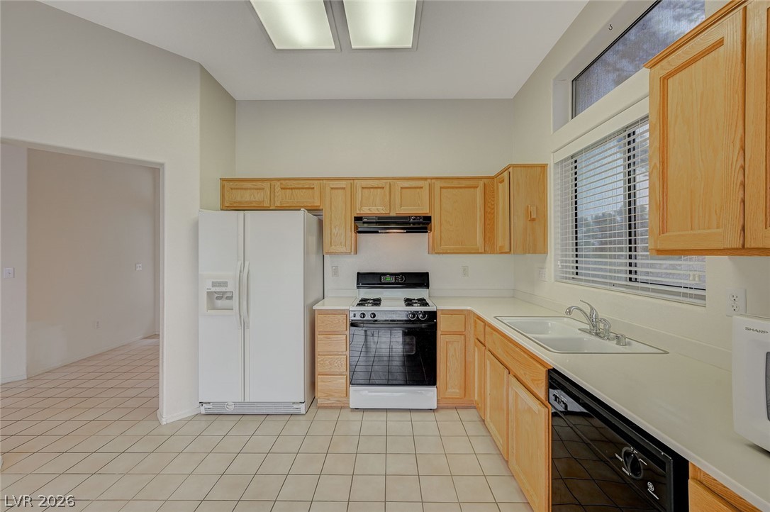 10501 City Clouds Court Property Photo 13
