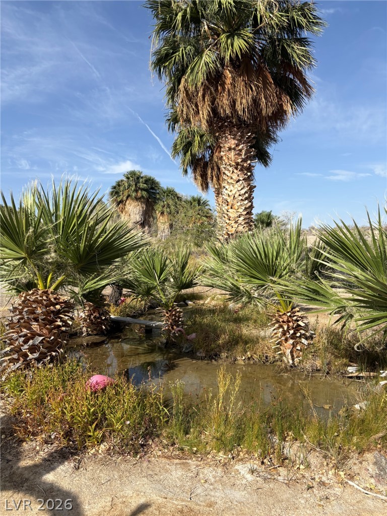 Gold Butte Road Property Photo 1
