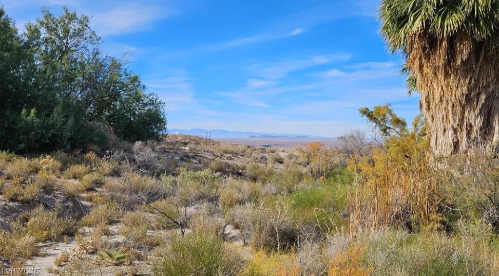 Gold Butte Road Property Photo 4