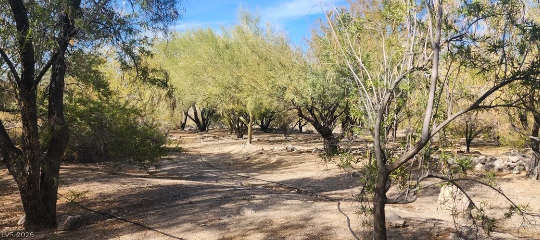 Gold Butte Road Property Photo 6