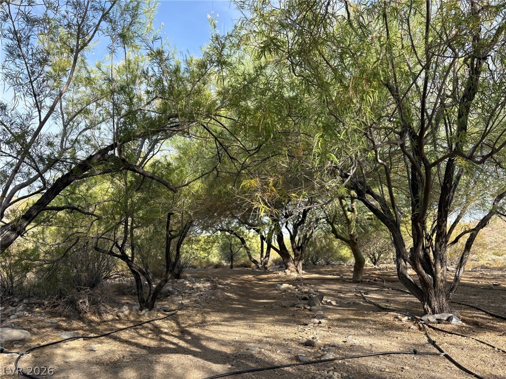 Gold Butte Road Property Photo 7