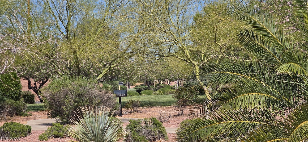 67 Desert Coyote Street Property Photo 2