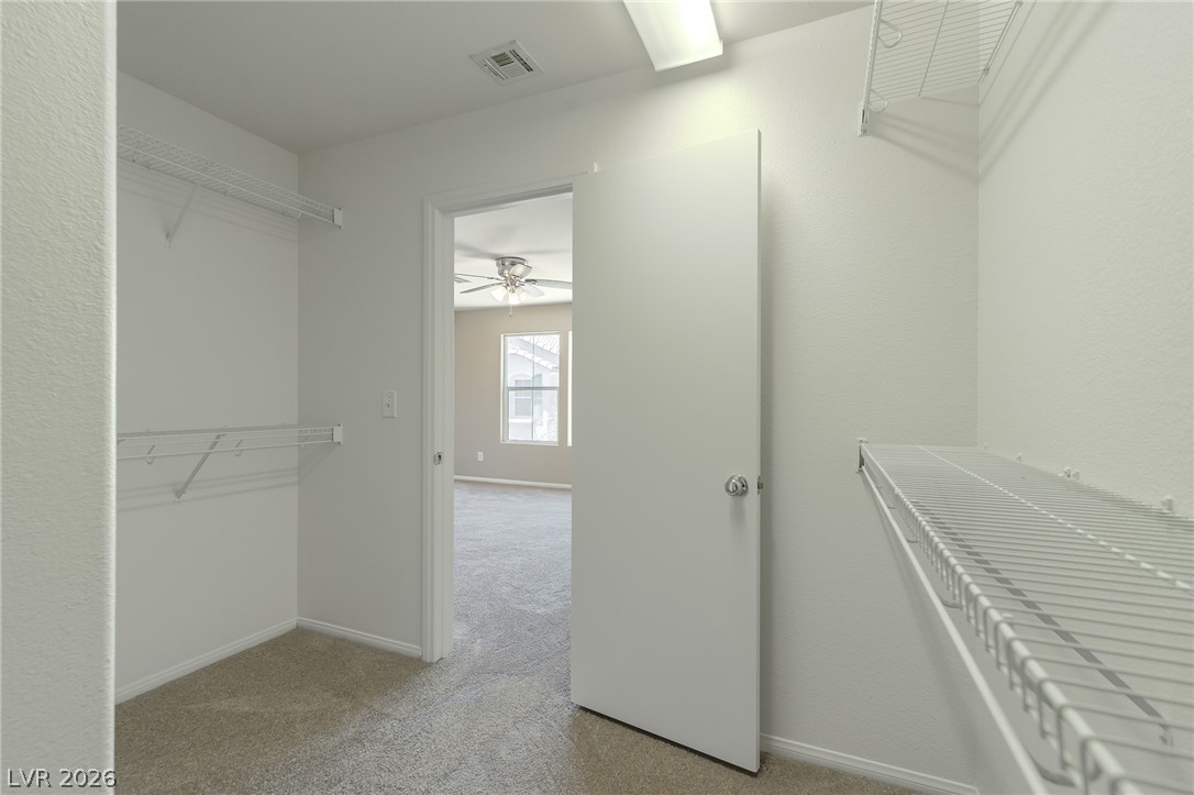 67 Desert Coyote Street Property Photo 18