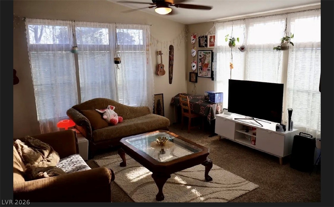 4964 Vista Flora Way Property Photo 15