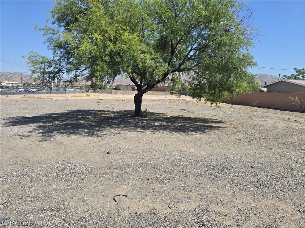 Christy & Lake Mead Property Photo 4