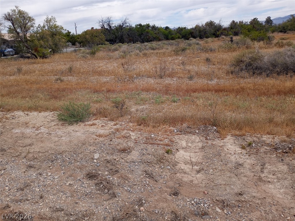 760 West Calvada Boulevard Property Photo 3