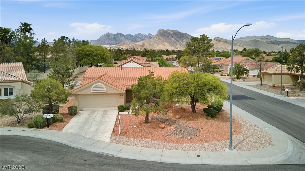 2809 Tumble Creek Court Property Photo 4