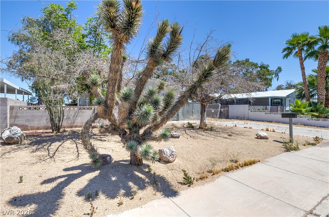 3650 Arbolado Drive Property Photo 3