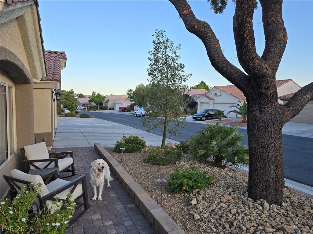 6036 Cocktail Drive Property Photo 76