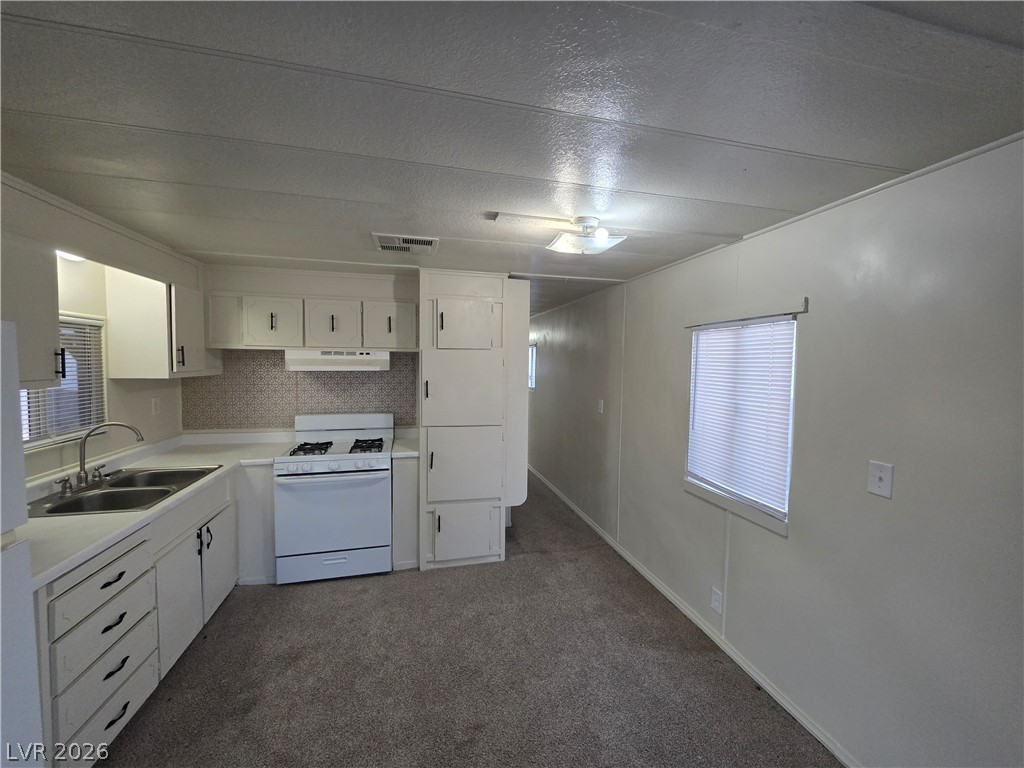 3 Piute Valley Drive Property Photo 18