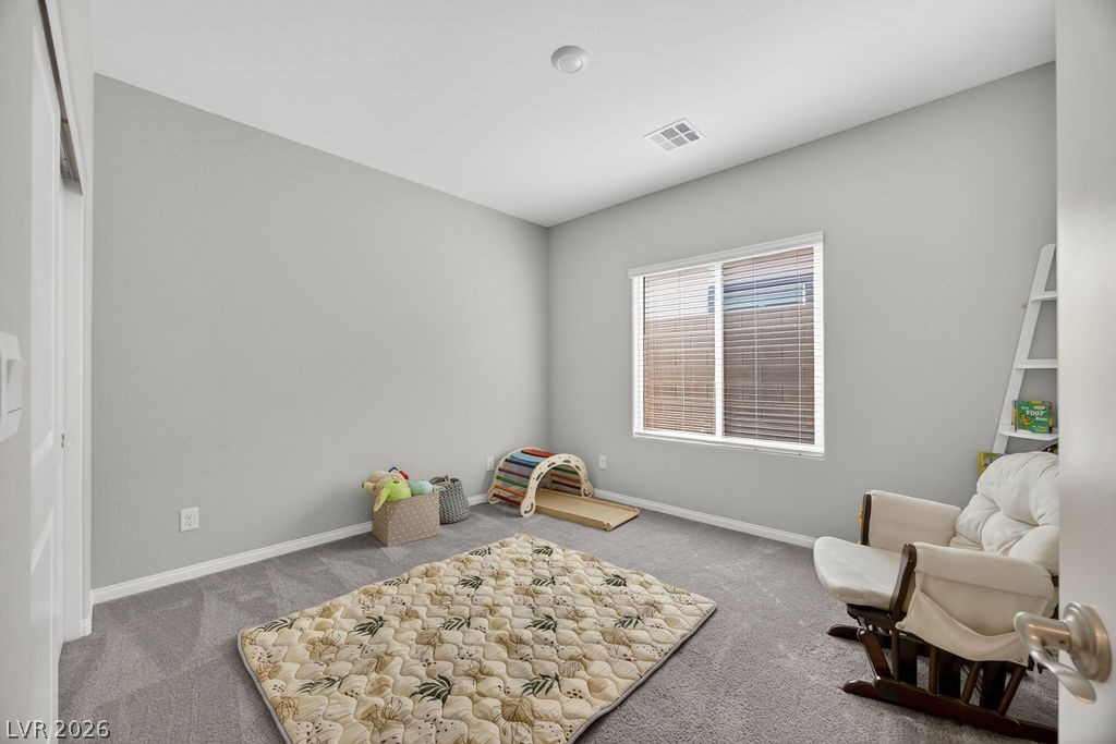 1919 Elena Brook Drive Property Photo 43