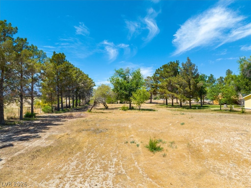 5220 Squaw Valley Property Photo 74