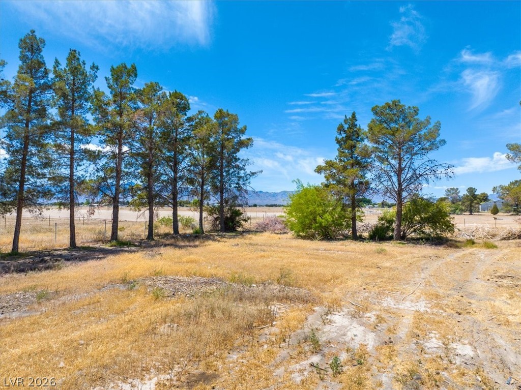 5220 Squaw Valley Property Photo 75