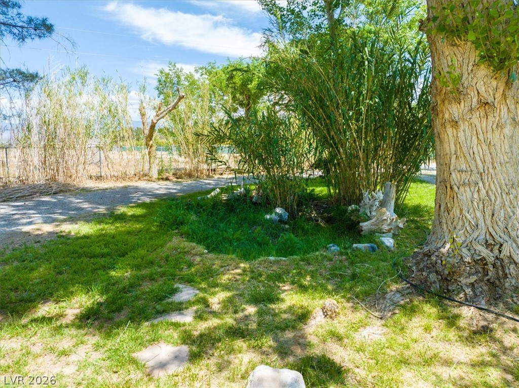 5220 Squaw Valley Property Photo 79