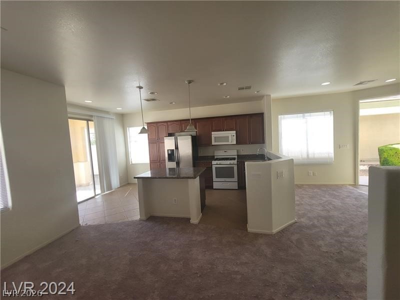 3665 Remington Grove Avenue Property Photo 16