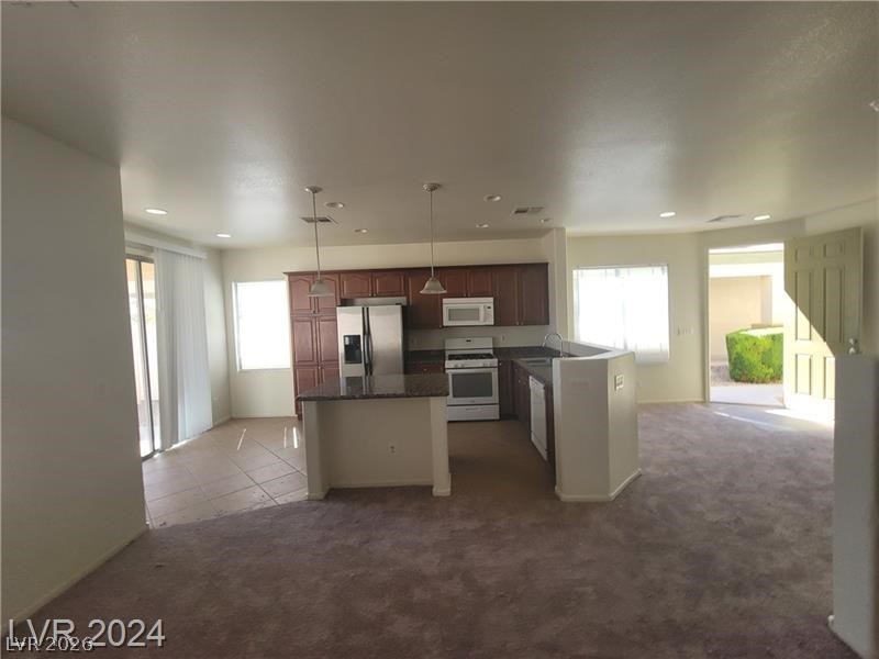 3665 Remington Grove Avenue Property Photo 25