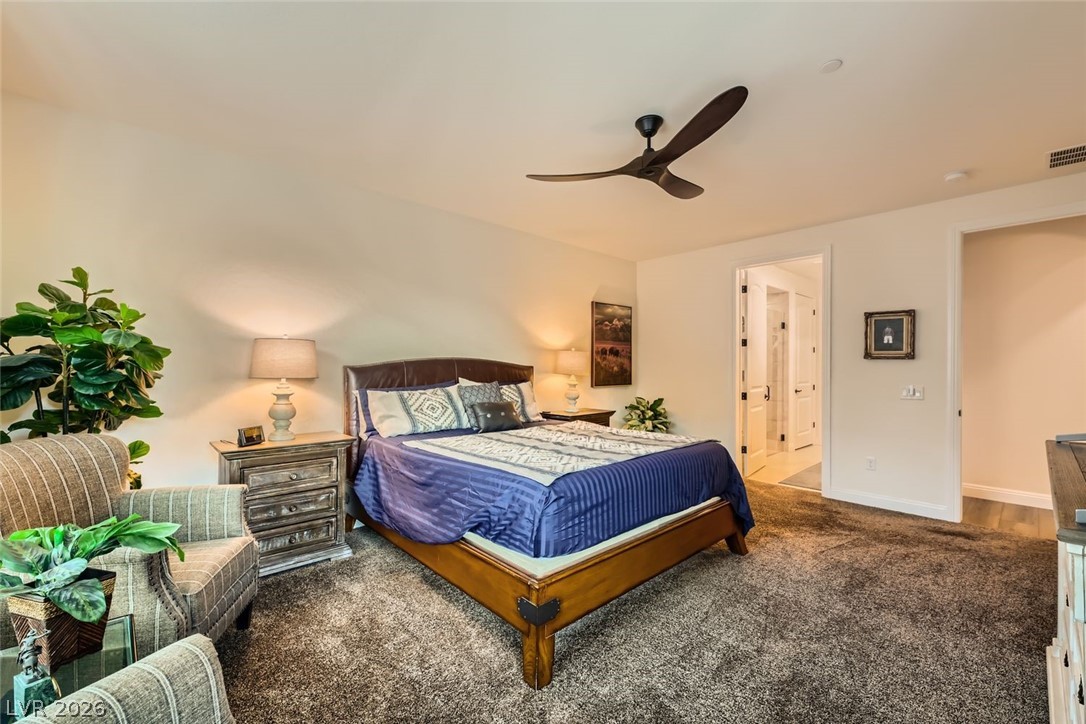 53 Stone Yucca Court Property Photo 29