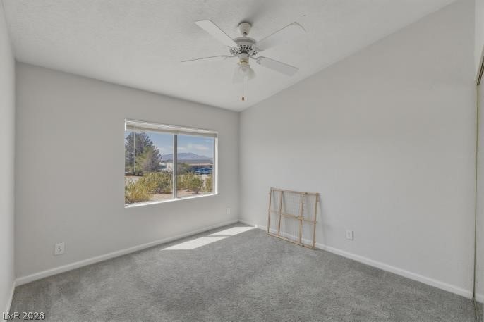 820 East Fort Carson Road Property Photo 19