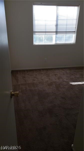 10384 Midseason Mist Street Property Photo 33