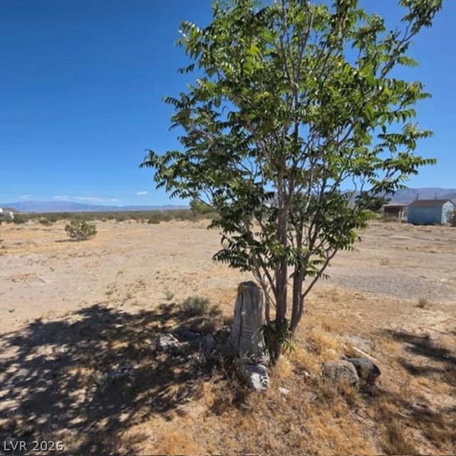 3590 Borax Avenue Property Photo 8