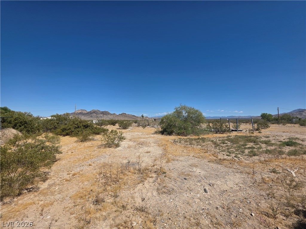 3590 Borax Avenue Property Photo 42
