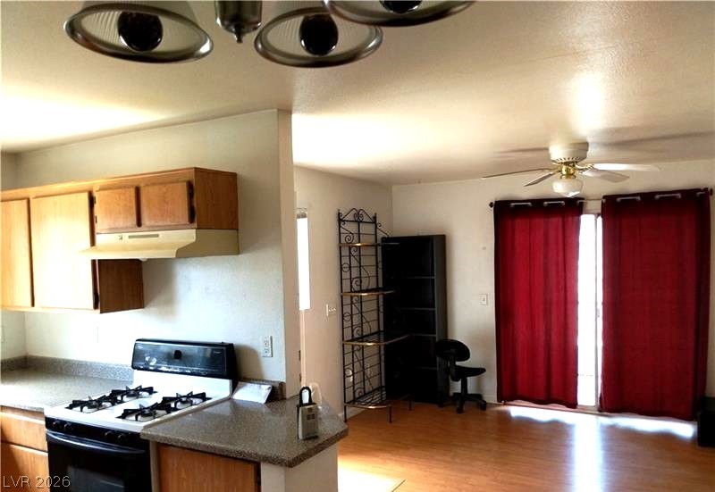 3969 Rebecca Raiter Avenue 202 Property Photo 6