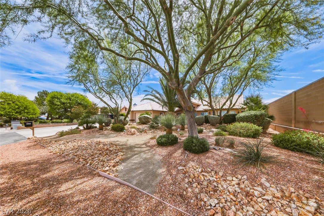 8645 Bright Angel Way Property Photo 13