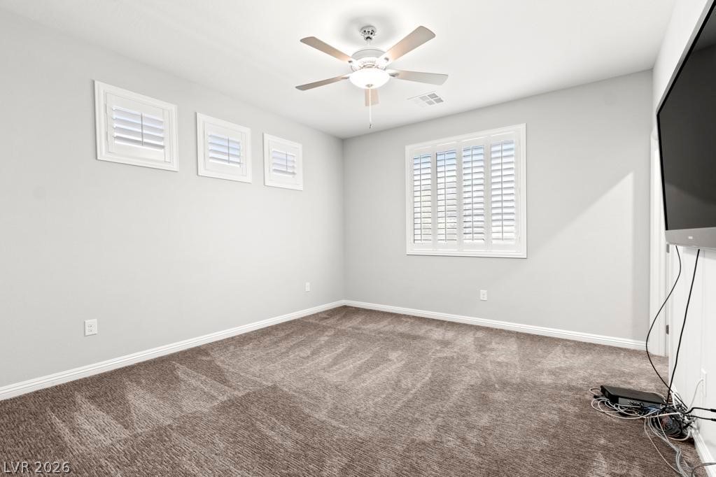 4165 Vibrant Star Avenue Property Photo 17