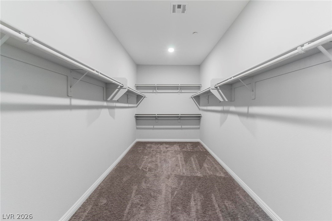 4165 Vibrant Star Avenue Property Photo 27